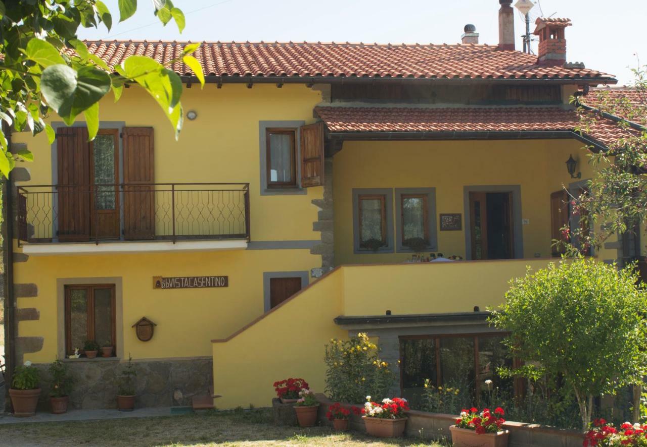 B&B Vista Casentino Pratovecchio Exterior photo