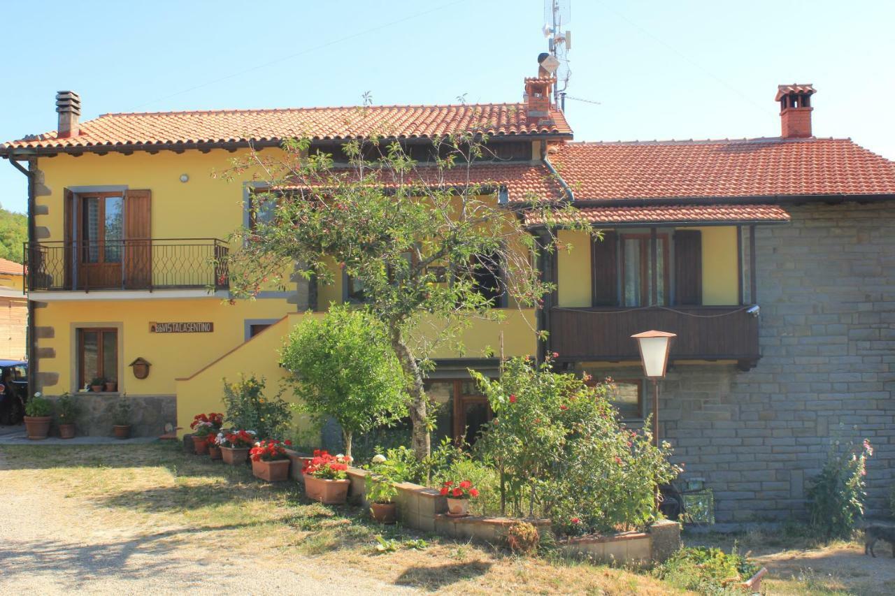 B&B Vista Casentino Pratovecchio Exterior photo