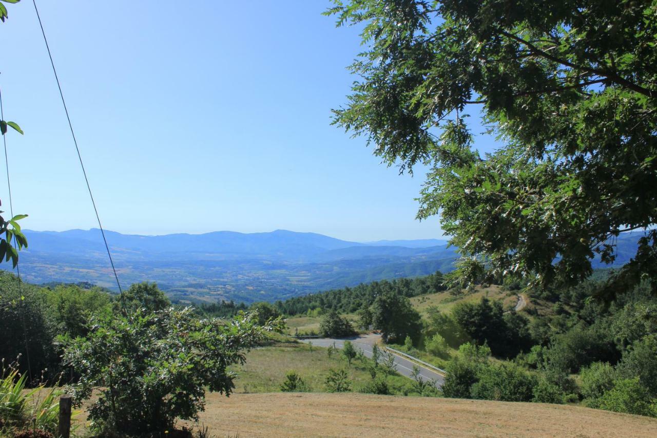 B&B Vista Casentino Pratovecchio Exterior photo